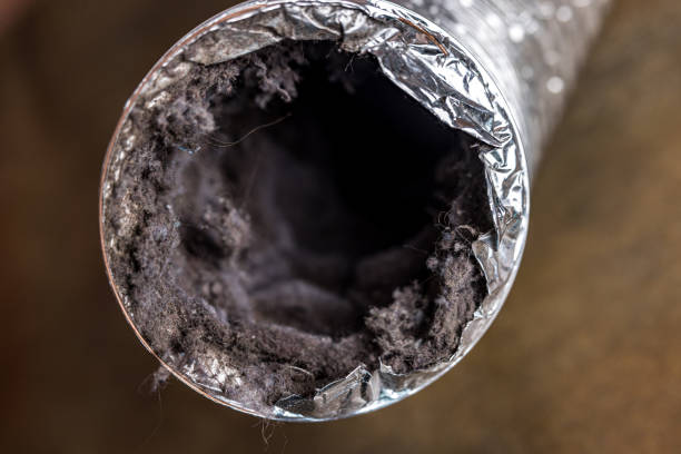 Best Duct Cleaning for Homes  in Newark, CA